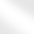 Cartoncino plastificato bindakote gr. 300