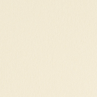Cartoncino Magic Cream colore avorio gr. 300 liscio