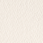 Cartoncino Modigliani colore neve gr. 260 martellato