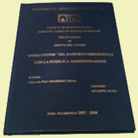 Tesi di Laurea in 1 o 24 ore